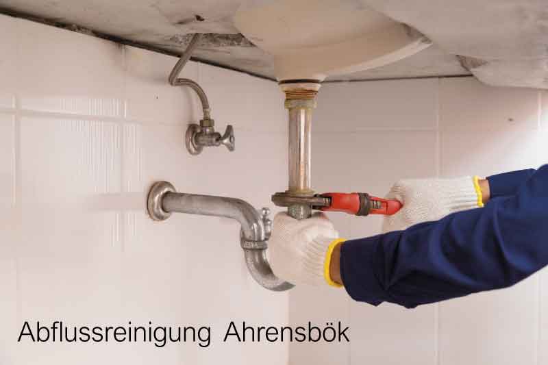 Abflussreinigung Ahrensbök